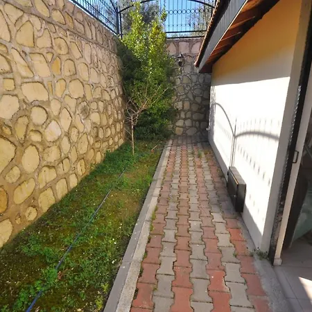 Sarilarda *